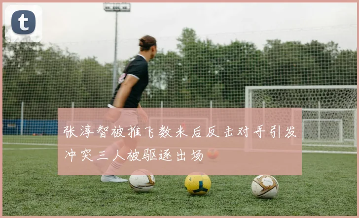 张淳智被推飞数米后反击对手引发冲突三人被驱逐出场