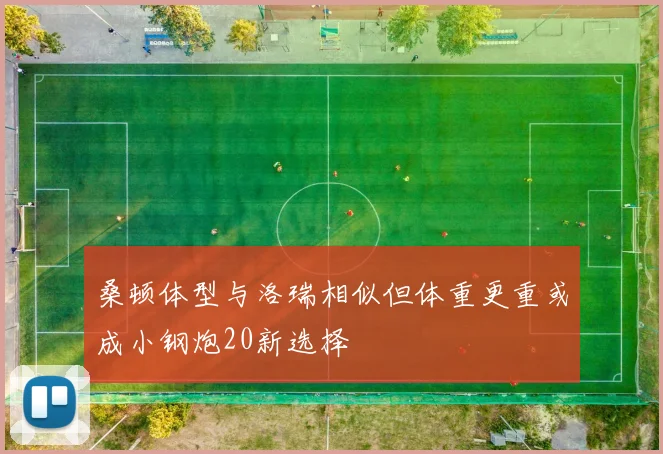 桑顿体型与洛瑞相似但体重更重或成小钢炮20新选择